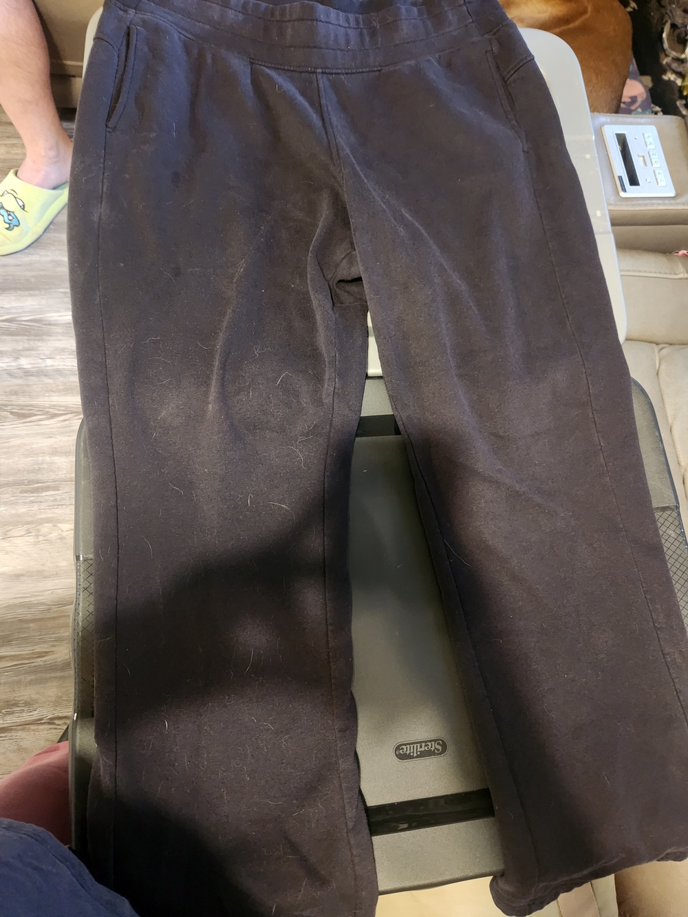 tek gear Men's Black Pull-On Jogger Pants